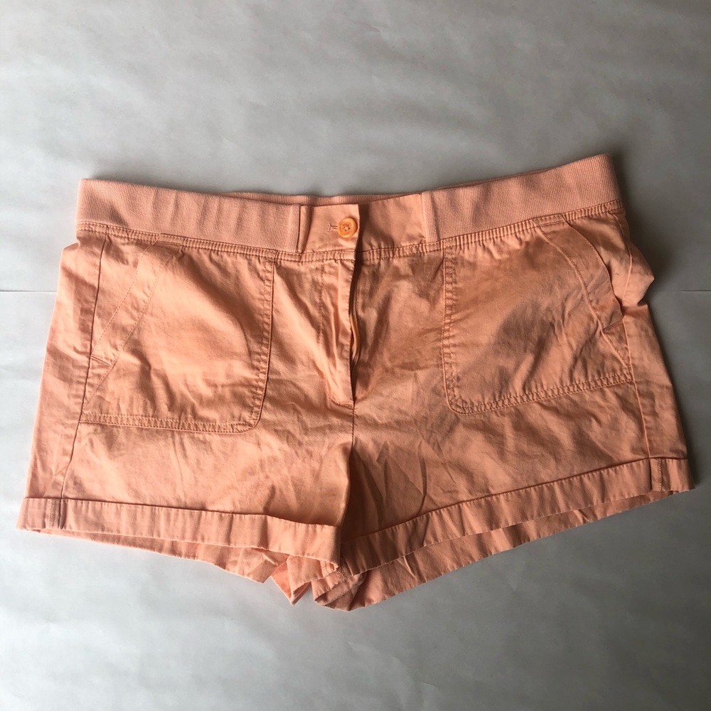 Loft Stretchy Waist Shorts
